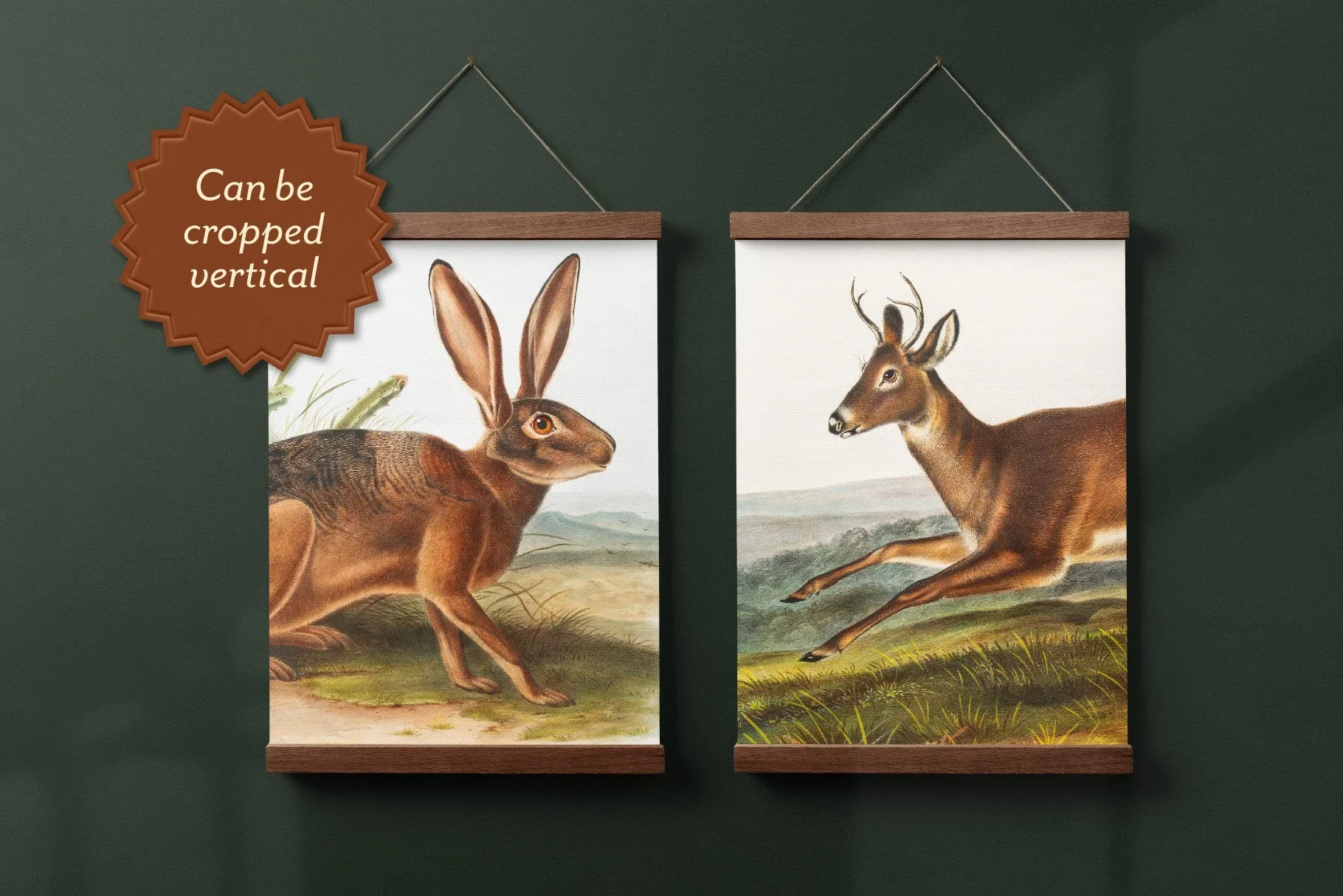 25 Vintage Mammal Prints — The Object Atlas